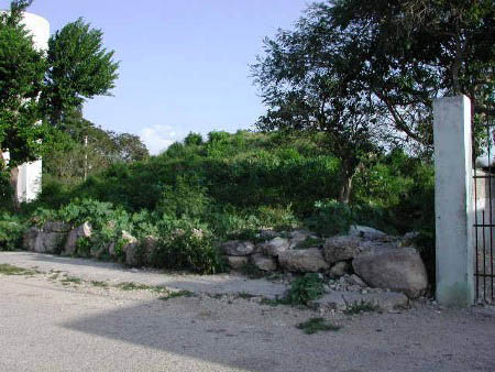 Tipo de vegetaci&oacute;n